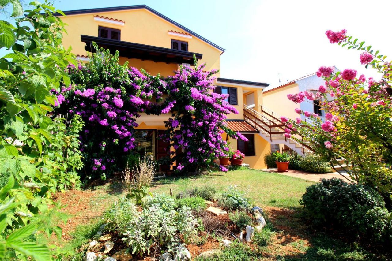 Apartments Tancel Πόρετς Εξωτερικό φωτογραφία